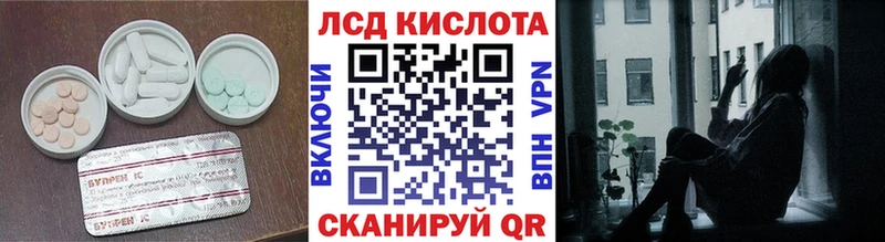 где купить наркоту  Шахунья  Лсд 25 экстази ecstasy 
