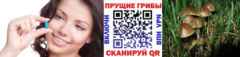 Галлюциногенные грибы мицелий  сколько стоит  Шахунья 